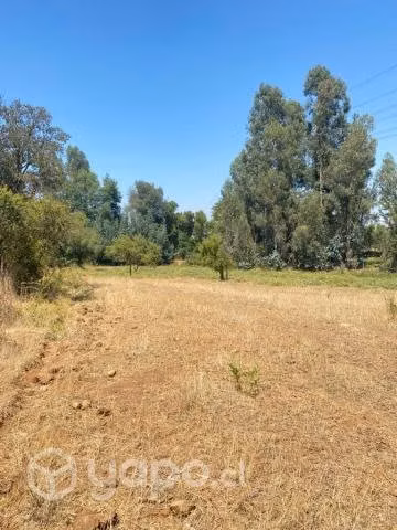 Se vende hermosa parcela sector mariposa, Talca