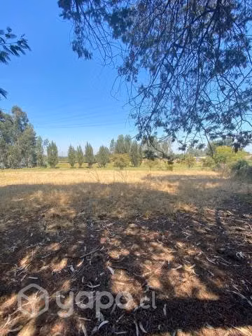 Se vende hermosa parcela sector mariposa, Talca