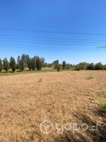 Se vende hermosa parcela sector mariposa, Talca