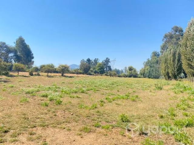 Se vende hermosa parcela sector mariposa, Talca