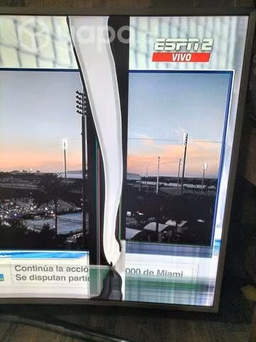 Smartv Samsung curvo 49' pantalla defectuosa