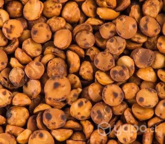 Avellanas tostadas