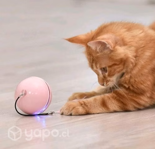 Pelota de tiktok para gatos