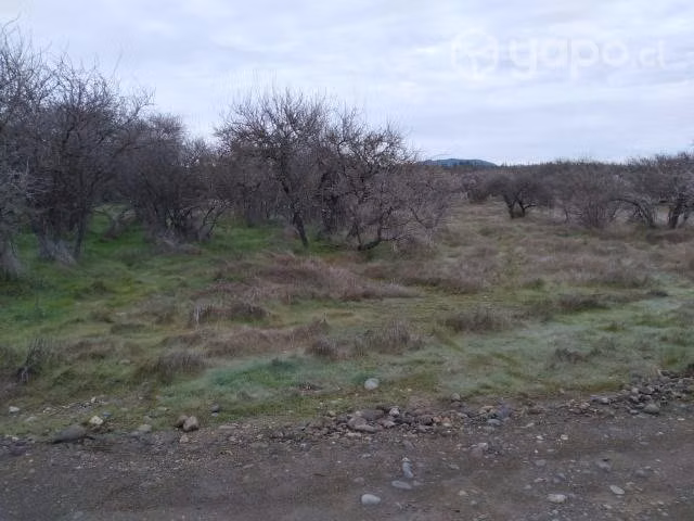 Terreno en Cauquenes