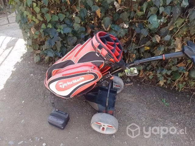 Carro eléctrico de golf