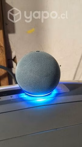 Alexa 4gen celeste