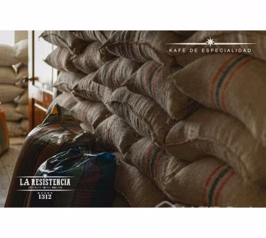 Café De Especialidad "The White Rabbit" Colombia