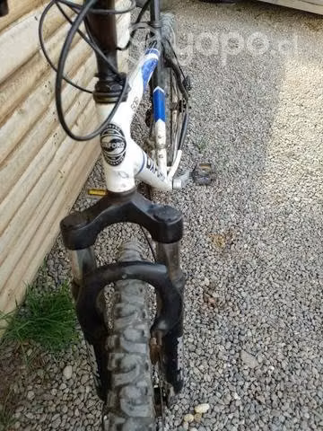 Bicicleta Oxford - Imagen 2