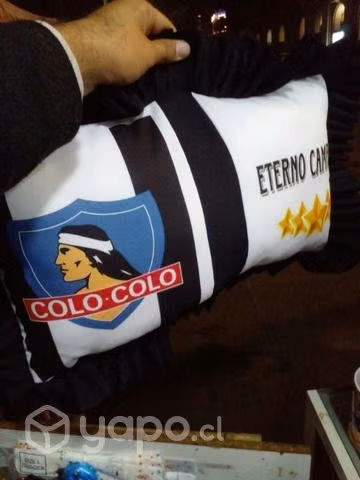 Cojines para el dia del padre