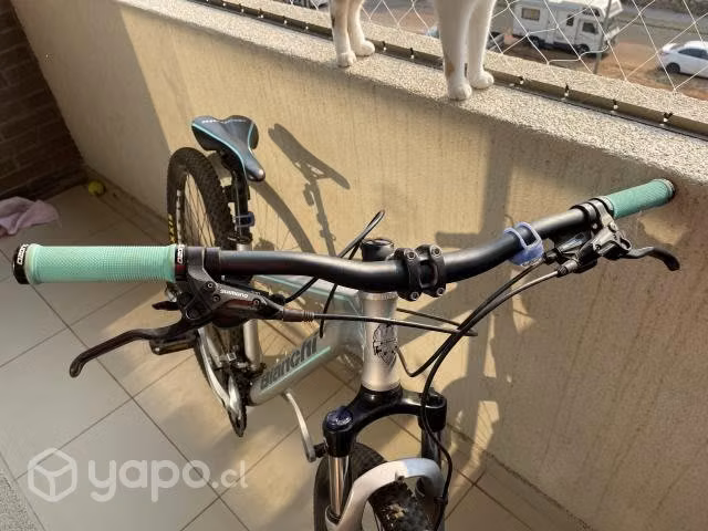 Bicicleta Bianchi Peregrine