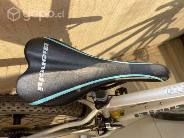 Bicicleta Bianchi Peregrine