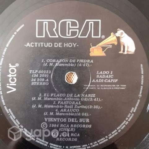 Vinilo de banda chilena Vientos del sur