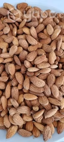 Almendras cosecha 2023. Envases de un kilo