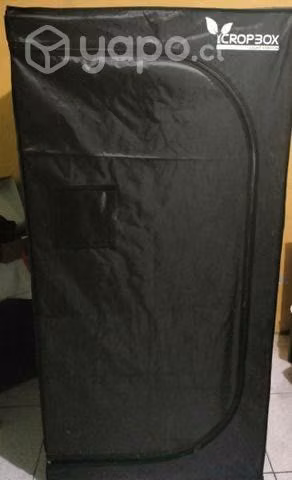 80×80160indoor carpa