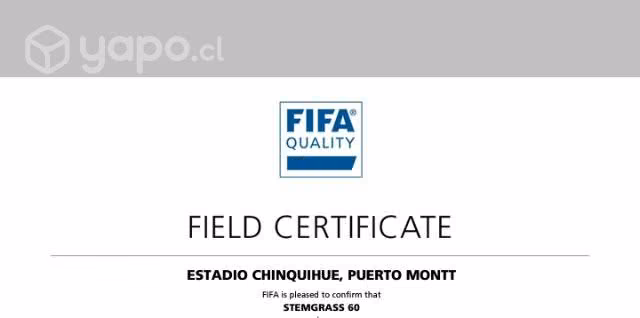 Pasto sintético fifa