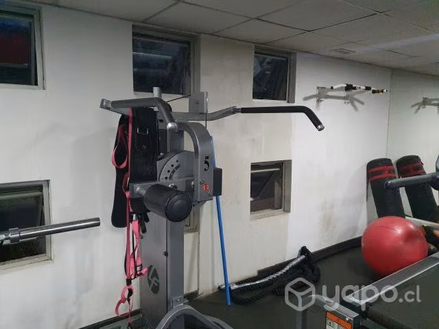 Hip & Glute HAMMER STRENGTH