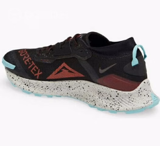 Nike Pegasus Trail Gore-Tex nro 42-43 - Imagen 2