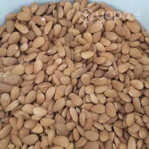 Almendras NonPareil y Nuez Chandler - Imagen 2