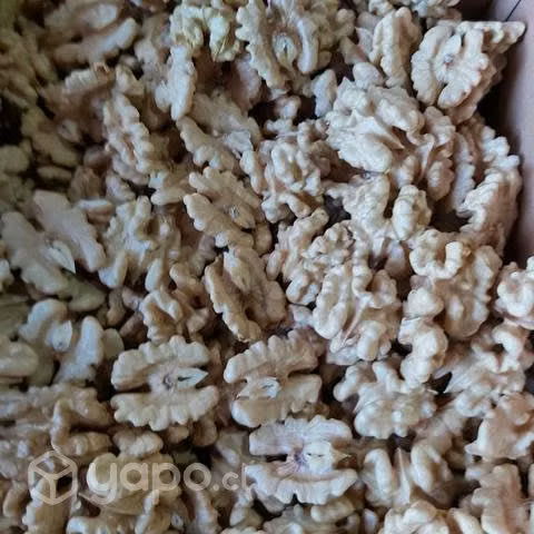 Almendras NonPareil y Nuez Chandler