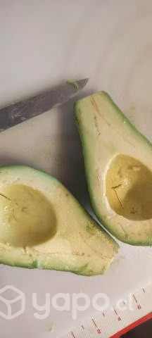 Palta Edranol Chilena