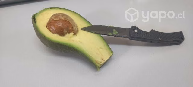 Palta Edranol Chilena