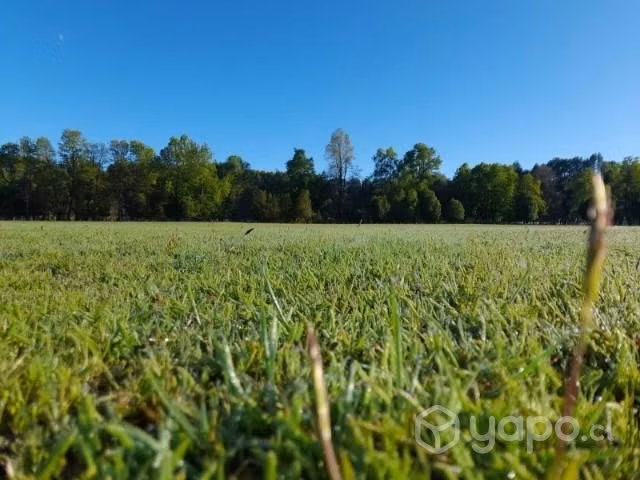 Predio agrícola