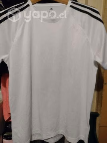 Poleras perfectas condiciones - Imagen 2