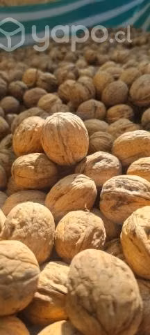 Nueces con cascaras