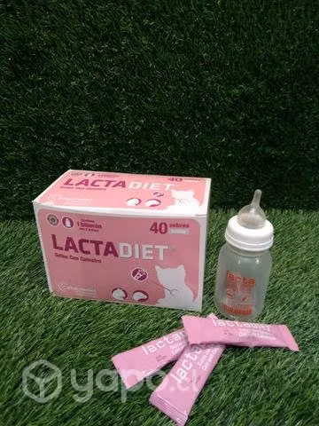 Lactadiet leche para gatito