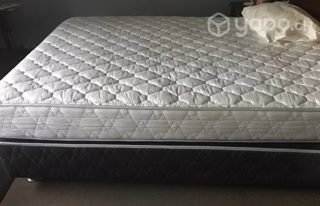 Cama Rosen Box Spring Ergo T 2plazas base div