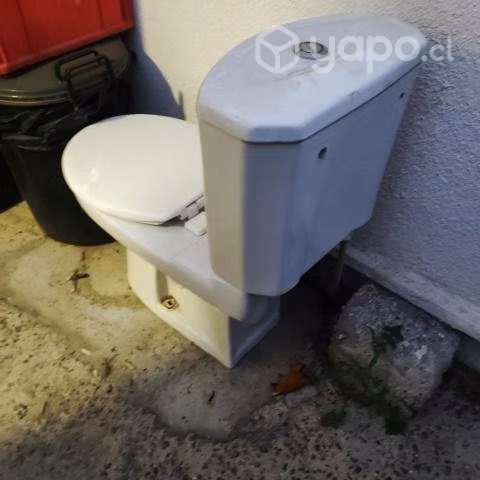 Taza de baño (WC)