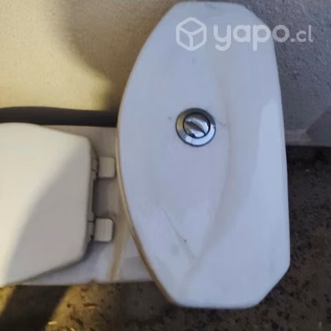 Taza de baño (WC)