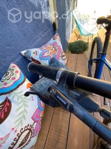 Bicicleta de montaña marca XTS