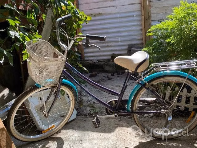Bicicleta