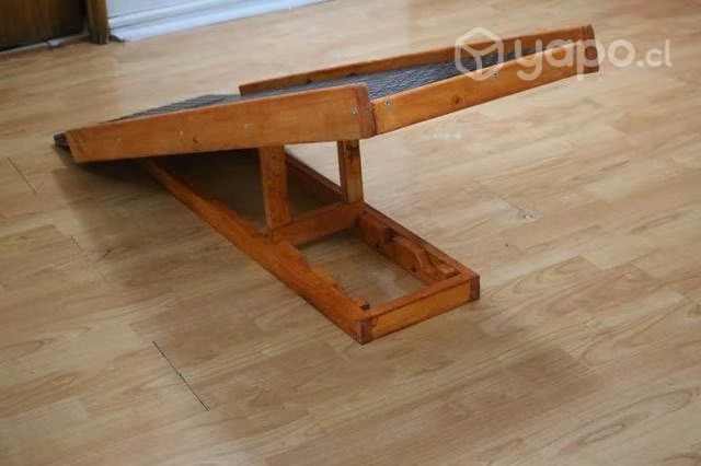 Rampa para perro con silla de ruedas