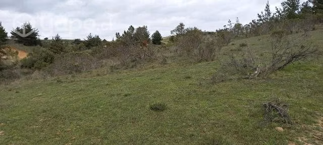 Parcela en Paredones 5.000 m2