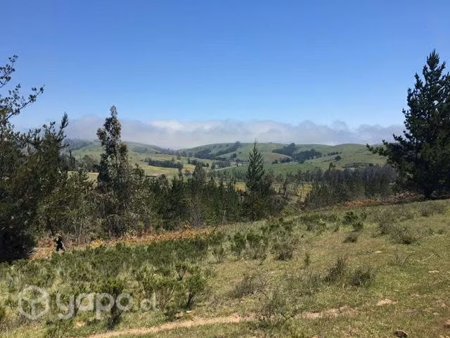 Parcela en Paredones 5.000 m2 - Imagen 2