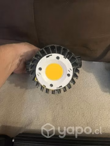 Blackcob f240