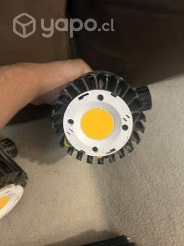 Blackcob f240