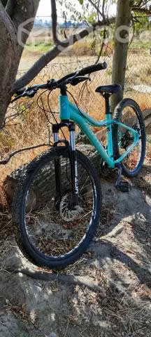 Bicicleta mujer