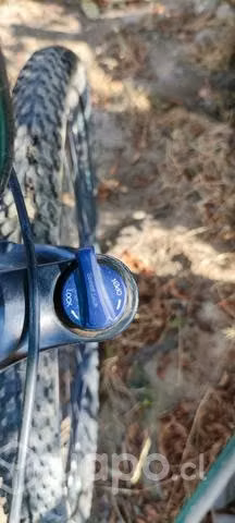 Bicicleta mujer