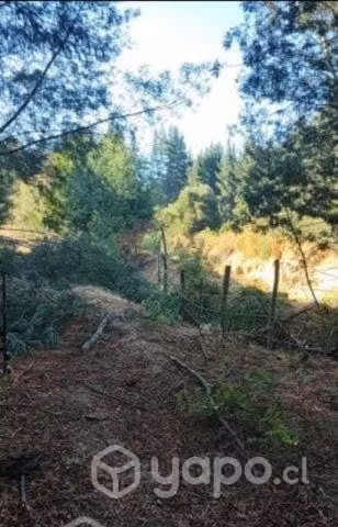 Terreno sector Barrancas Juntas Hualqui
