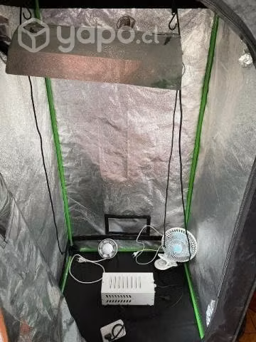 Indoor 80x80x160 + kit completo.