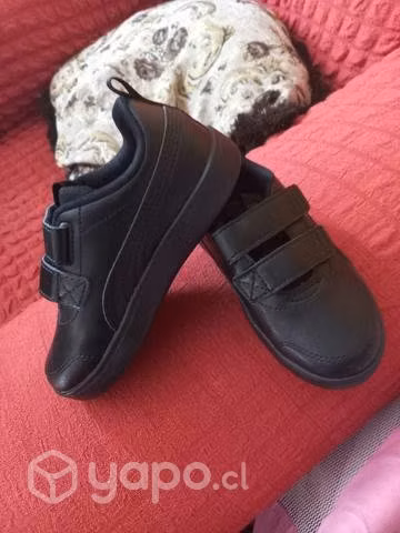 zapatillas