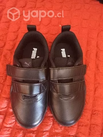 zapatillas