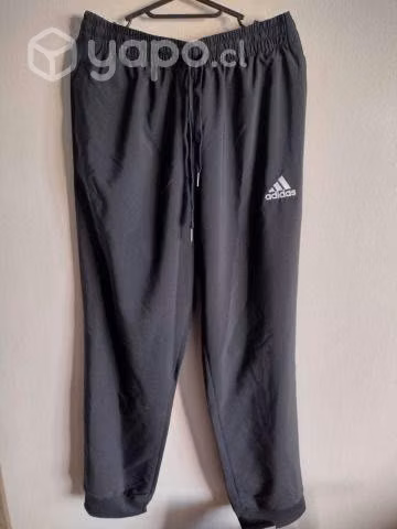 Pantalón Buzo Stanford Adidas (Regular Fit)