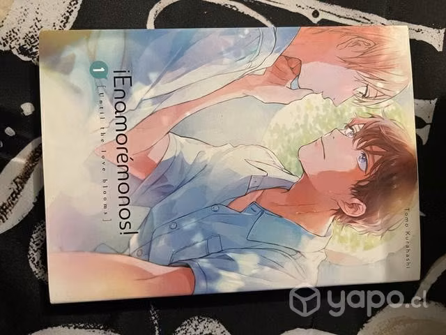 Pack de Mangas BL.