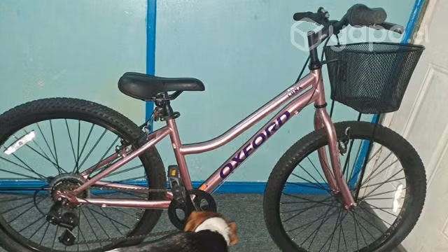 Bicicleta oxford aro 24