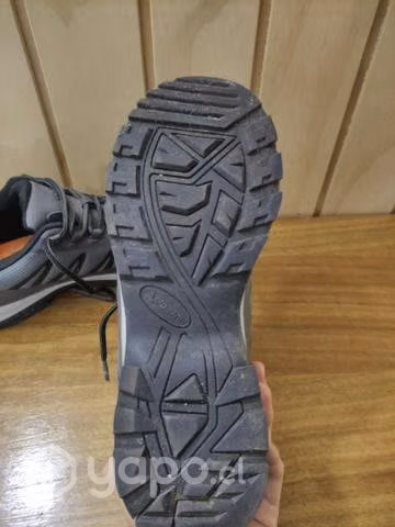Zapatillas Geography Lizard
