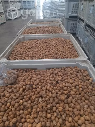 Nueces